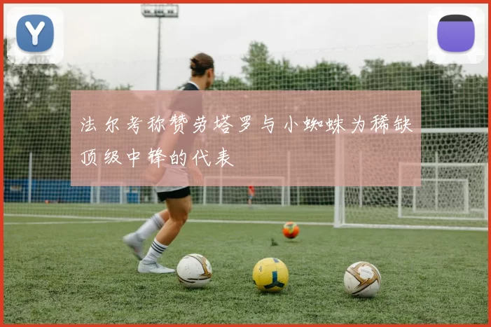 法尔考称赞劳塔罗与小蜘蛛为稀缺顶级中锋的代表